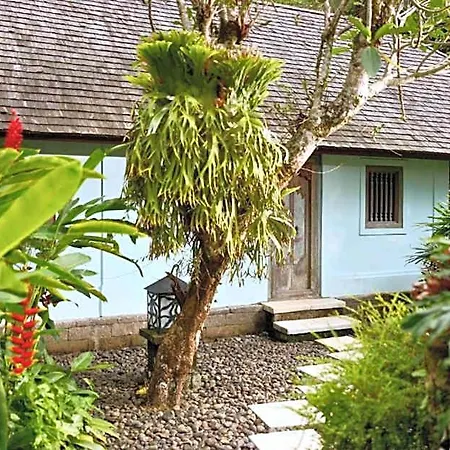 Natural View 3 Bedroom Private Pool Villa